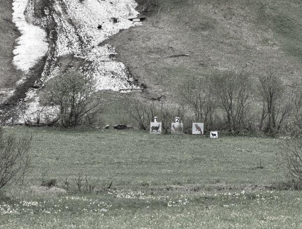 Fridolin Purtscheller - Landesfotodokumentation 2010