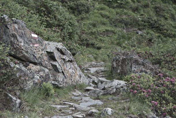 Andreas Waldner - Landesfotodokumentation 2010