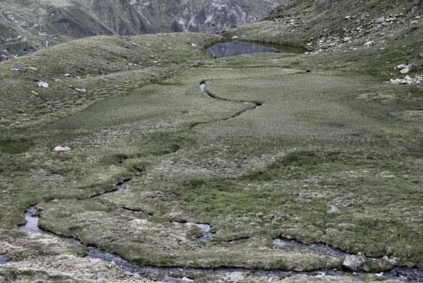 Andreas Waldner - Landesfotodokumentation 2010