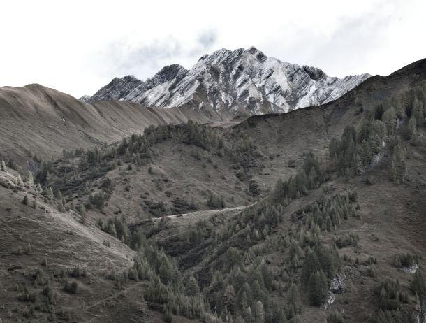Werner Willard - Landesfotodokumentation 2010