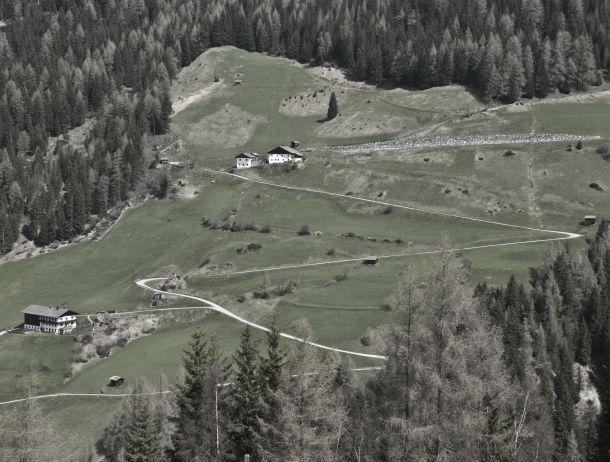 Werner Willard - Landesfotodokumentation 2010