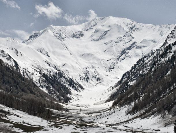 Werner Willard - Landesfotodokumentation 2010
