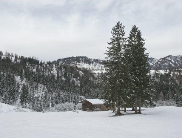 Erich Brugger - Landesfotodokumentation 2010