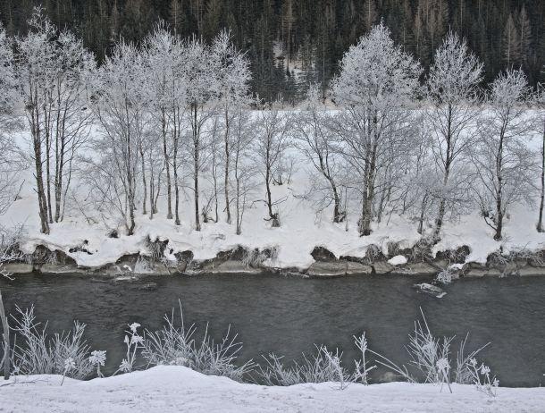 Dietmar Brunner - Landesfotodokumentation 2010