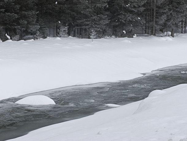 Dietmar Brunner - Landesfotodokumentation 2010
