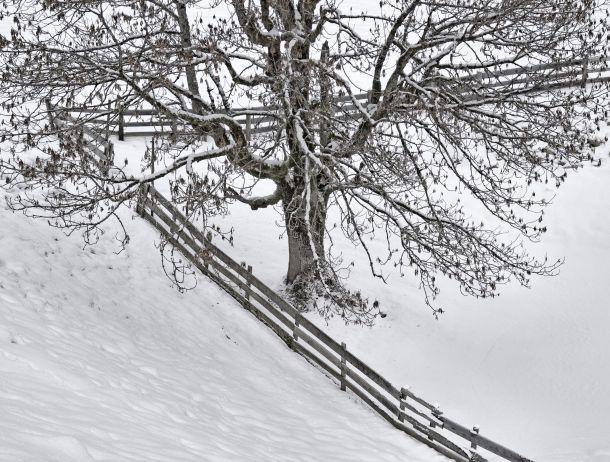 Anton Kiefer - Landesfotodokumentation 2010