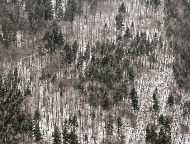 Anton Kiefer - Landesfotodokumentation 2010