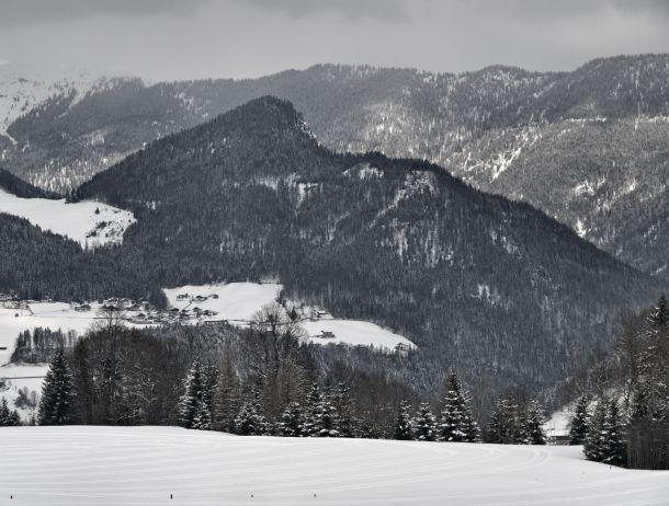 Anton Kiefer - Landesfotodokumentation 2010