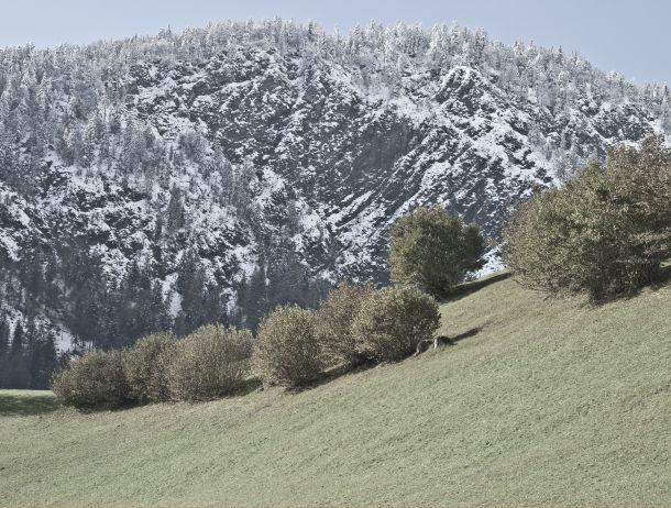 Anton Kiefer - Landesfotodokumentation 2010