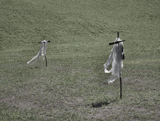 Werner Neururer - Landesfotodokumentation 2010