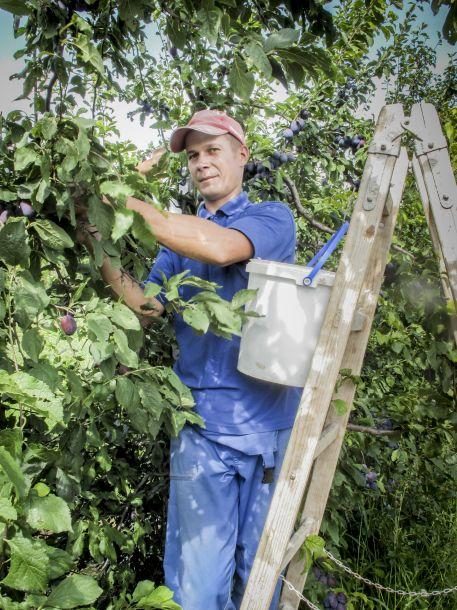 © Gerd Jenewein Adam Okulski