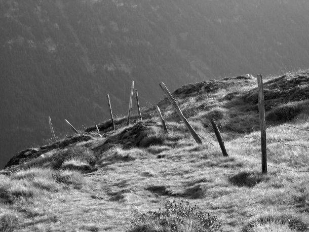 Ursula Fuchs-Hofer - Landesfotodokumentation 2003