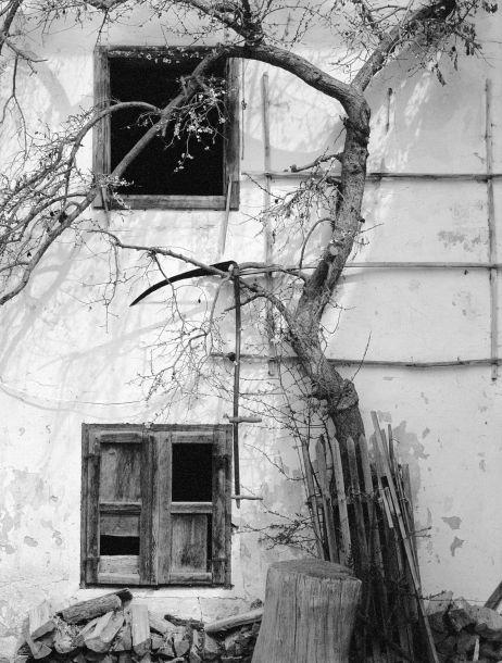 Andrea Berger - Landesfotodokumentation 2003