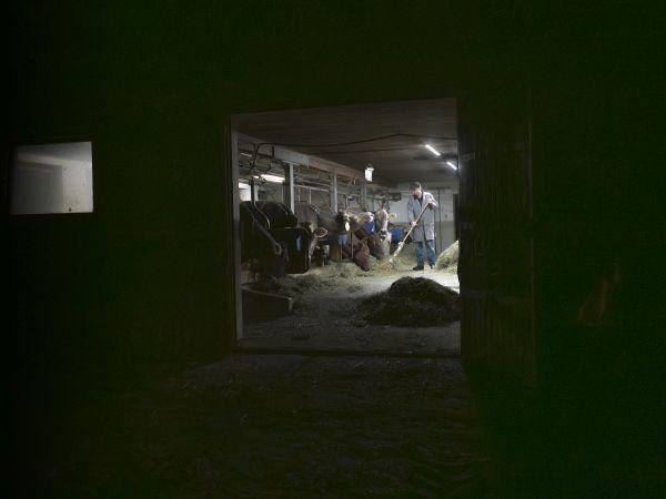 Rosi Gmachl-Mariacher - Arbeit