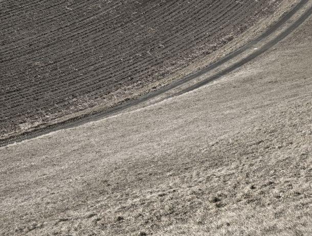 Andrea Berger - Landesfotodokumentation 2008
