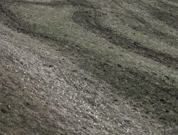 Andrea Berger - Landesfotodokumentation 2008