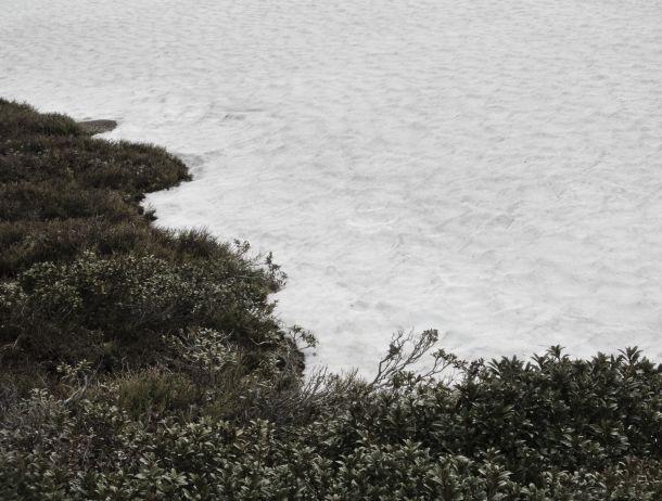 Andrea Berger - Landesfotodokumentation 2008