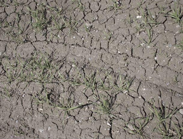 Dietmar Brunner - Landesfotodokumentation 2008