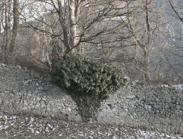 Erich Brugger - Landesfotodokumentation 2008