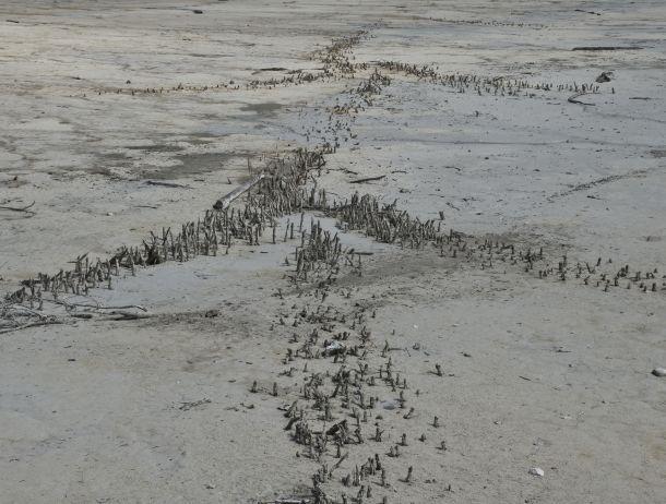 Erich Brugger - Landesfotodokumentation 2008