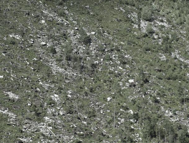 Erich Brugger - Landesfotodokumentation 2008