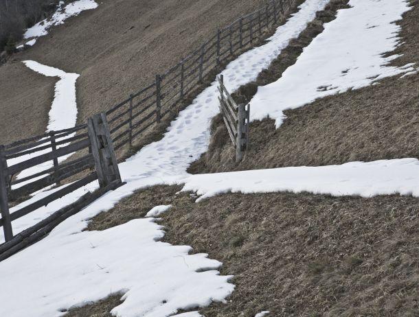 Klaus Defner - Landesfotodokumentation 2008