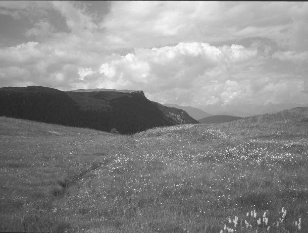 Fritz Pichler - Landesfotodokumentation 2002