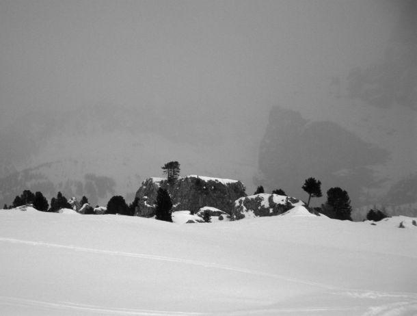 Fritz Pichler - Landesfotodokumentation 2002