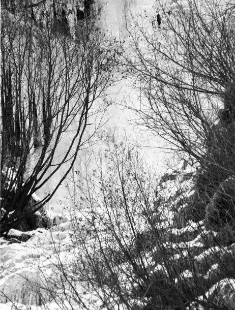 Margit Santer - Landesfotodokumentation 2002