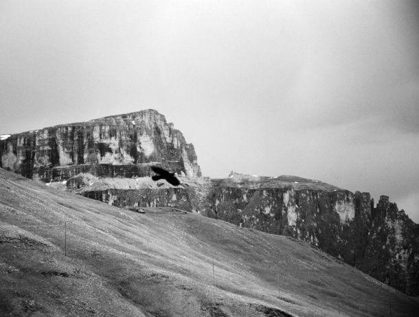 Fritz Pichler - Landesfotodokumentation 2002