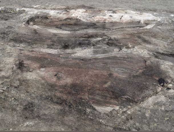 Peter Elvin - Landesfotodokumentation 2008