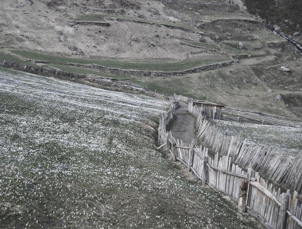 Martin Folie - Landesfotodokumentation 2008