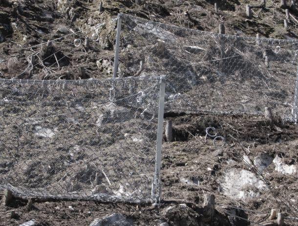 Claudia Fritz - Landesfotodokumentation 2008