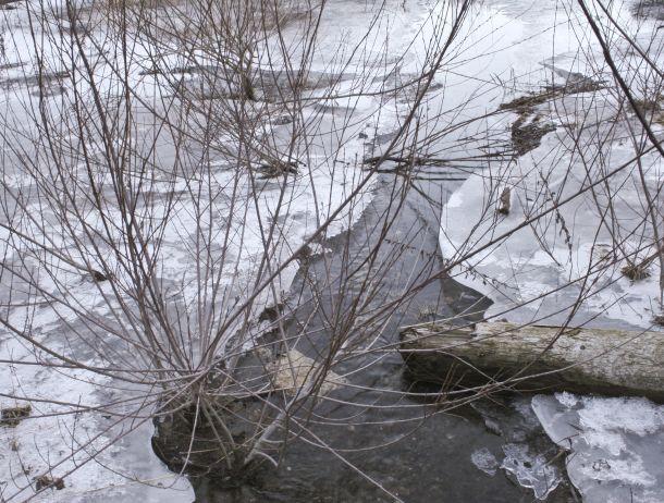 Ursula Fuchs-Hofer - Landesfotodokumentation 2008