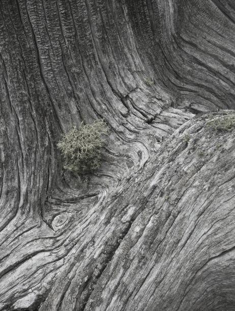 Ursula Fuchs-Hofer - Landesfotodokumentation 2008