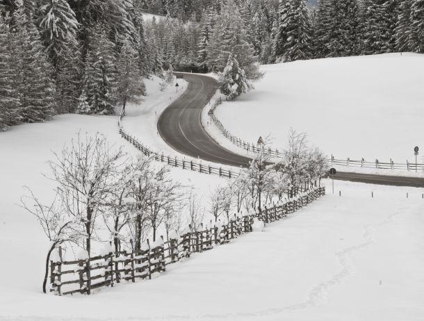 Ursula Fuchs-Hofer - Landesfotodokumentation 2008
