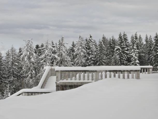 Ursula Fuchs-Hofer - Landesfotodokumentation 2008