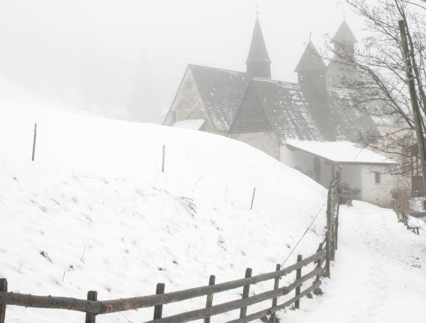Ursula Fuchs-Hofer - Landesfotodokumentation 2008