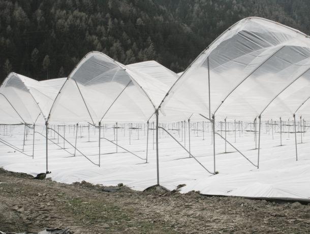 Ursula Fuchs-Hofer - Landesfotodokumentation 2008