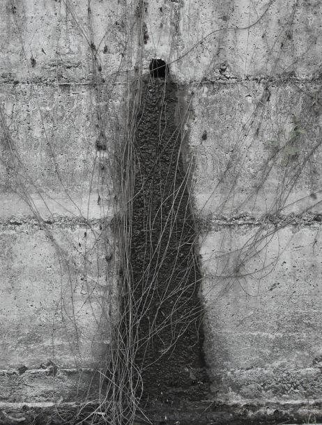 Ursula Fuchs-Hofer - Landesfotodokumentation 2008