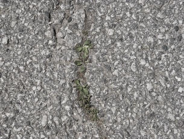 Heinz Jörgen Hafele - Landesfotodokumentation 2008