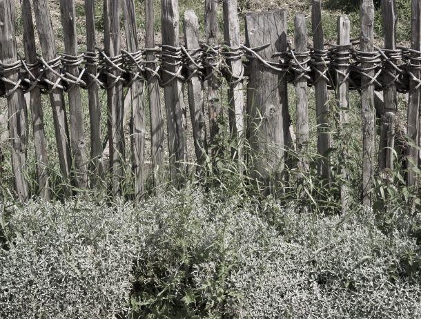 Heinz Jörgen Hafele - Landesfotodokumentation 2008