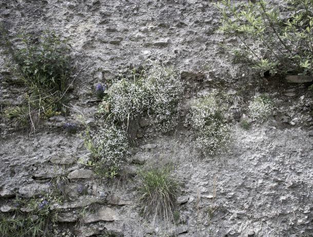 Heinz Jörgen Hafele - Landesfotodokumentation 2008