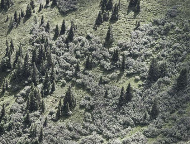 Heinz Jörgen Hafele - Landesfotodokumentation 2008