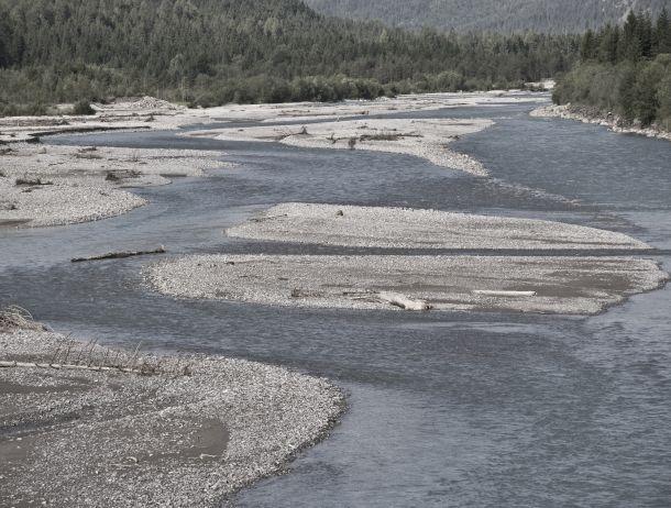 Heinz Jörgen Hafele - Landesfotodokumentation 2008