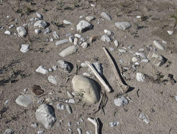 Heinz Jörgen Hafele - Landesfotodokumentation 2008