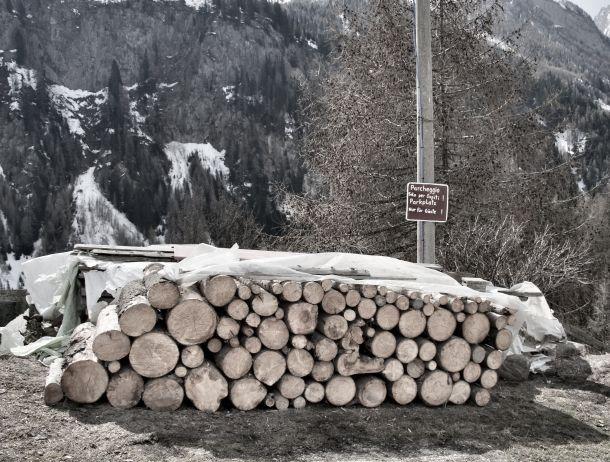 Heinz Jörgen Hafele - Landesfotodokumentation 2010