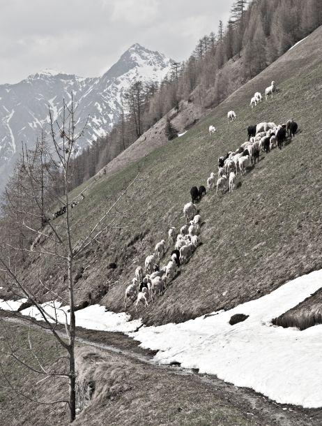 Heinz Jörgen Hafele - Landesfotodokumentation 2010