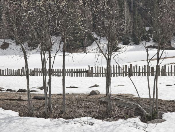 Heinz Jörgen Hafele - Landesfotodokumentation 2010