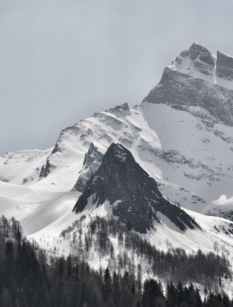 Heinz Jörgen Hafele - Landesfotodokumentation 2010